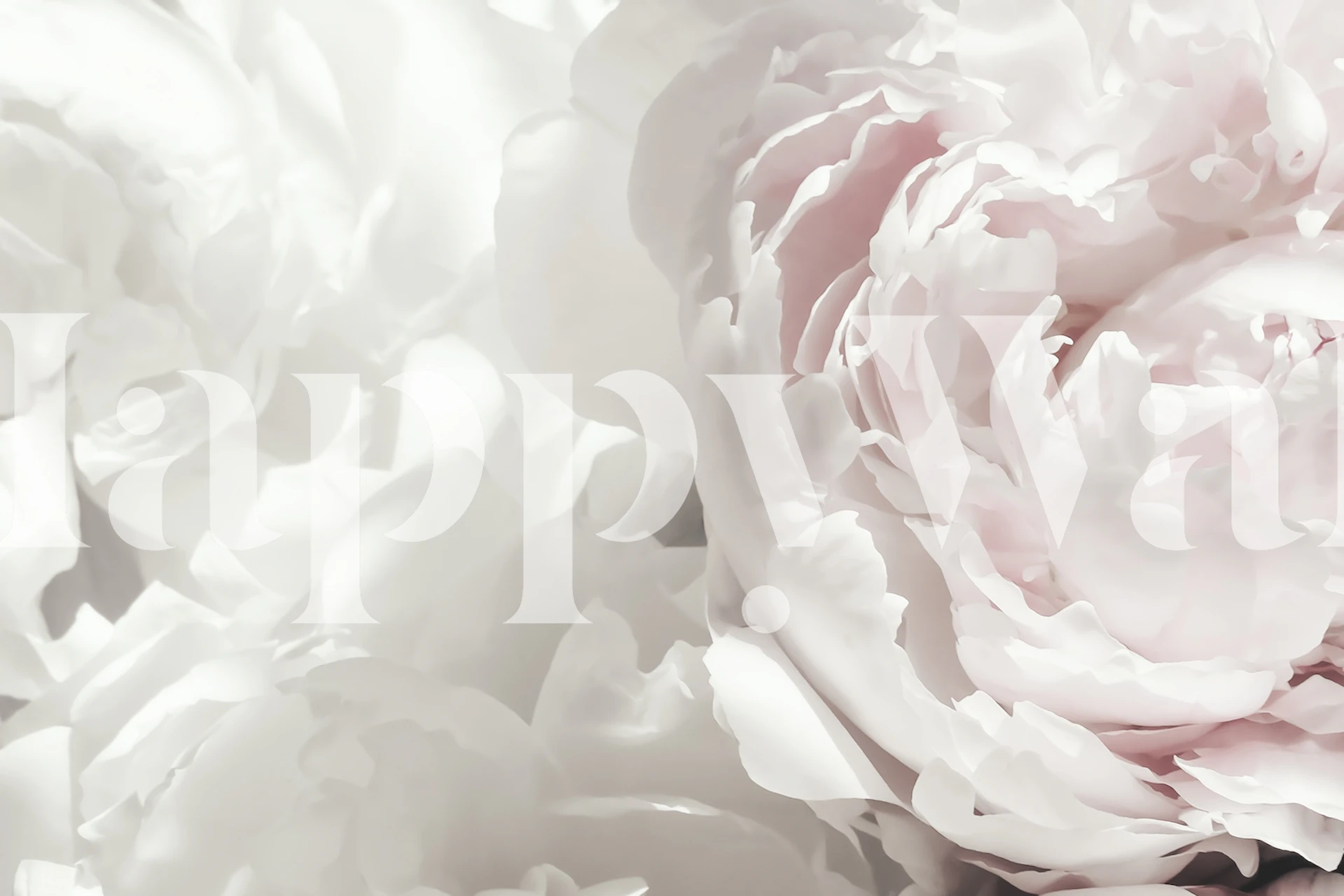 Papier peint Peony 25 dans une pièce