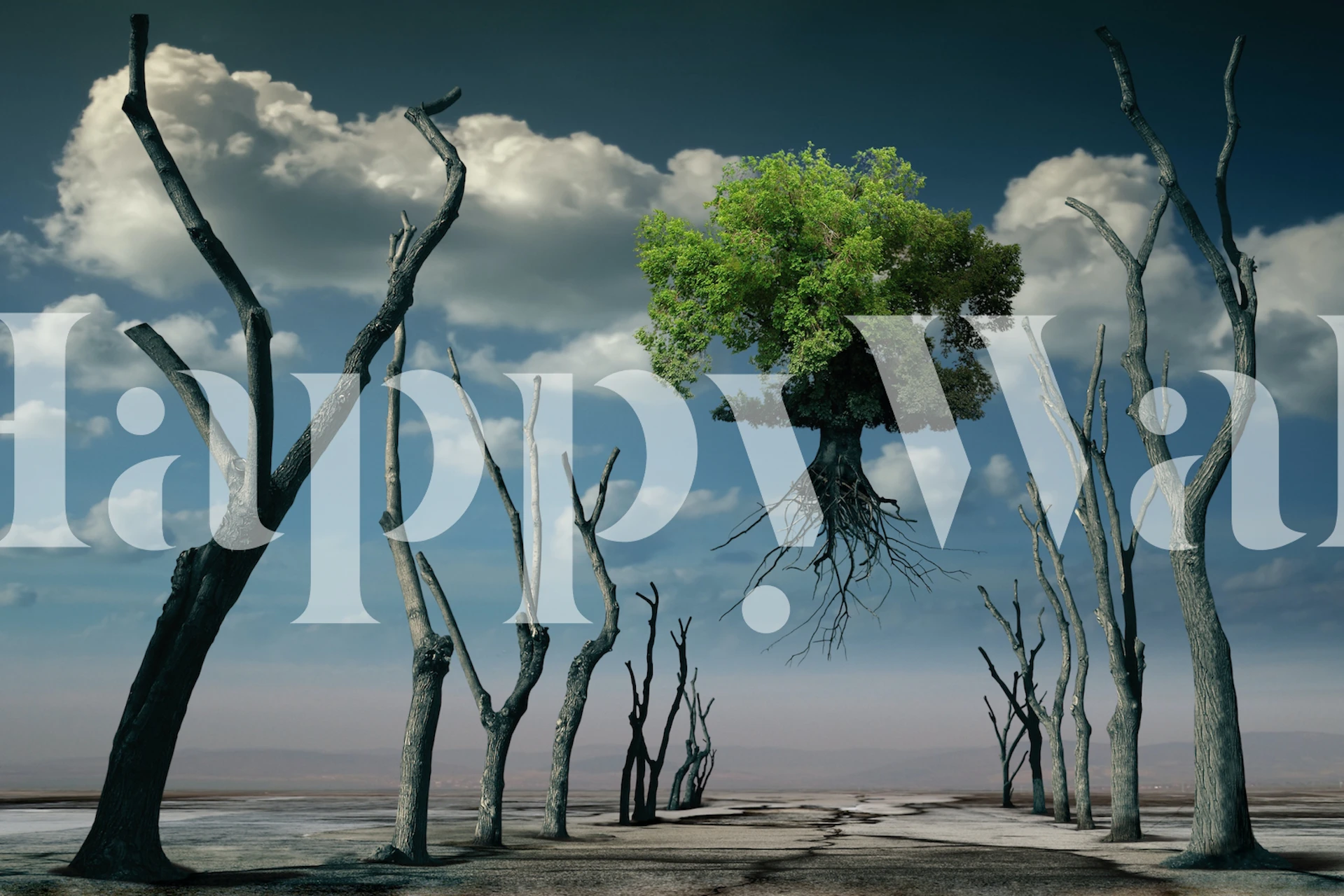 I want to fly wallpaper in a room