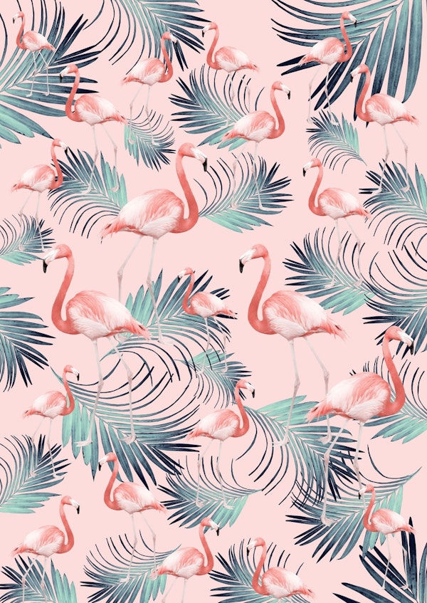Blush Flamingo Palm Vibes 2