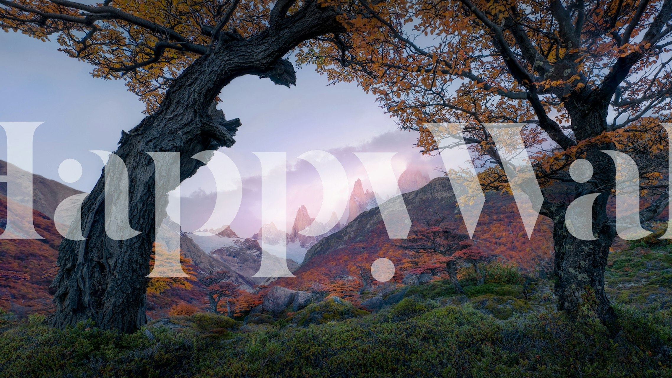 Wallpaper featuring a serene sunset view from a window