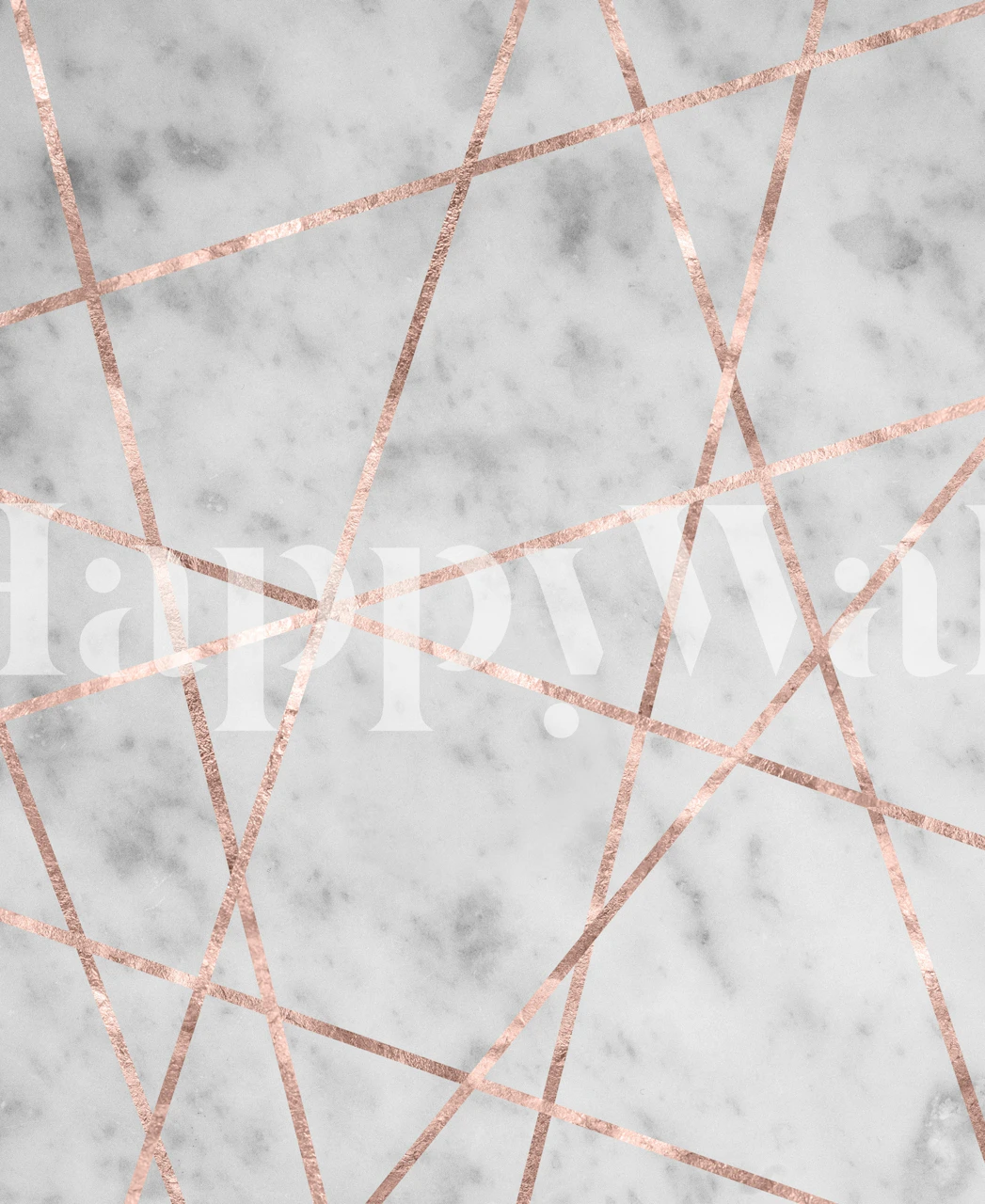 Elegant marble wall mural with rose gold geometric lines