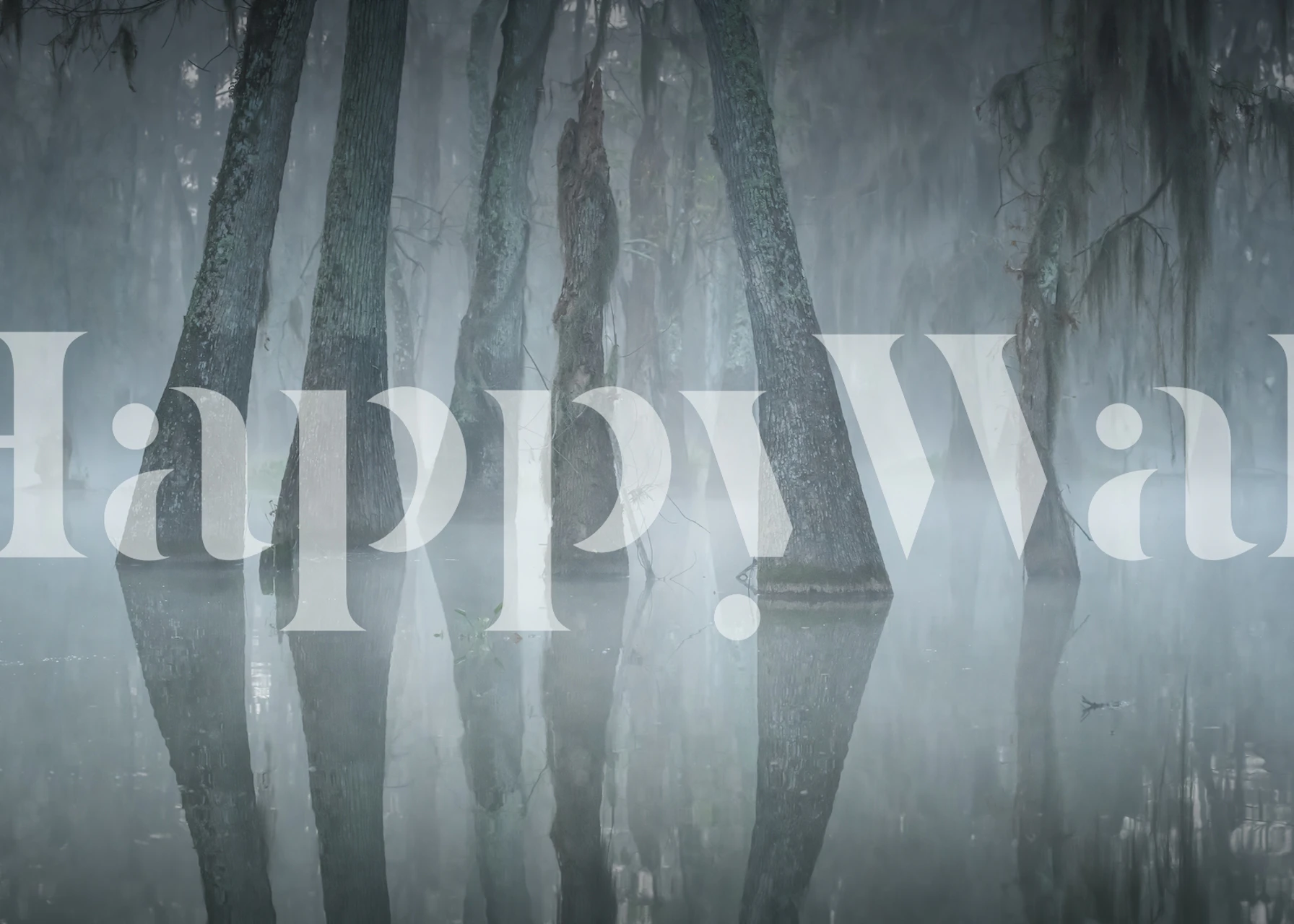 Lago nebbioso con alberi imponenti che si riflettono sull'acqua murale