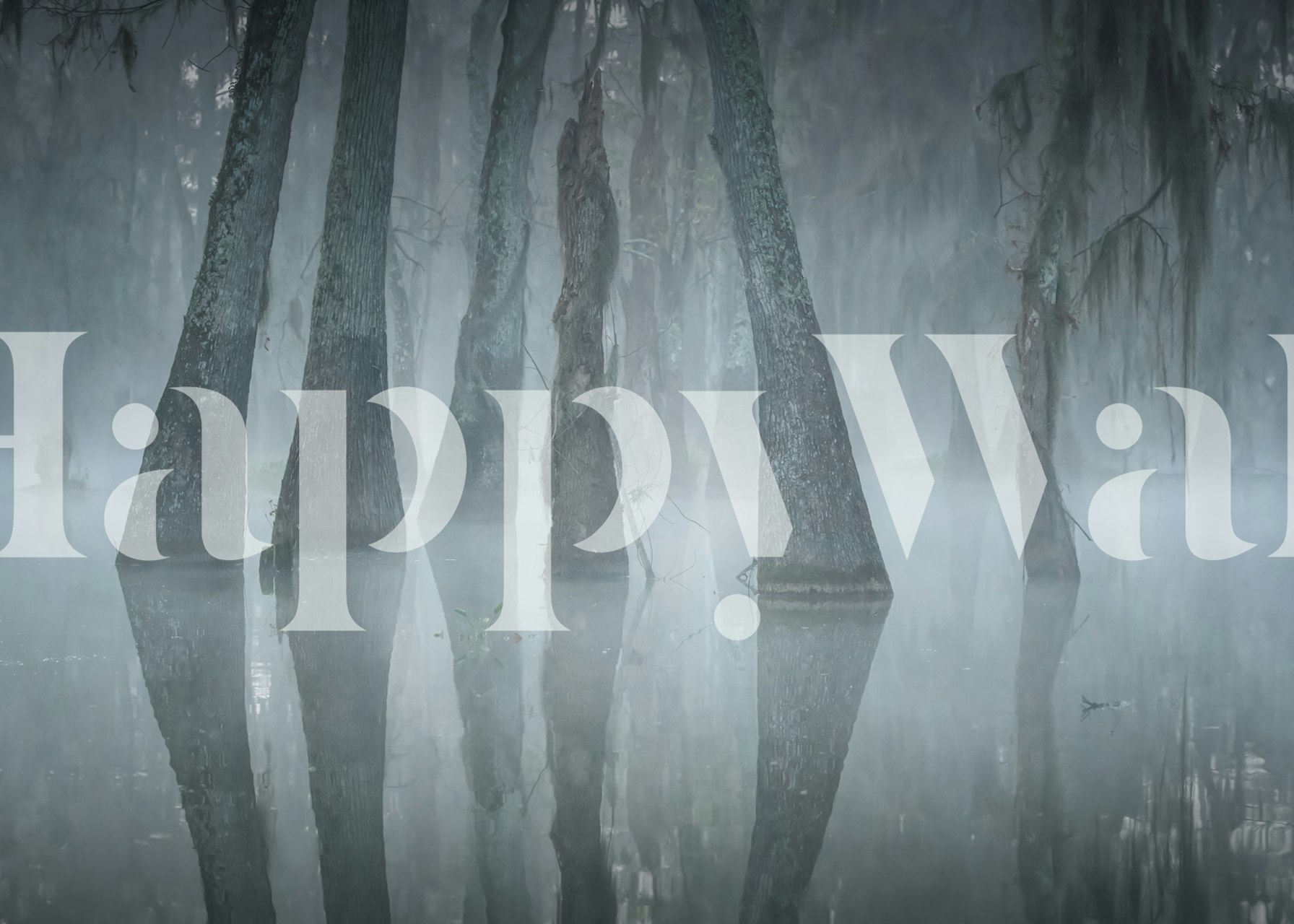 Misty forest scene with tall trees reflected in water wallpaper