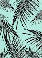 Black Palm Leaves Dream 12 carta da parati