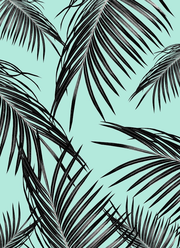 Black Palm Leaves Dream 12