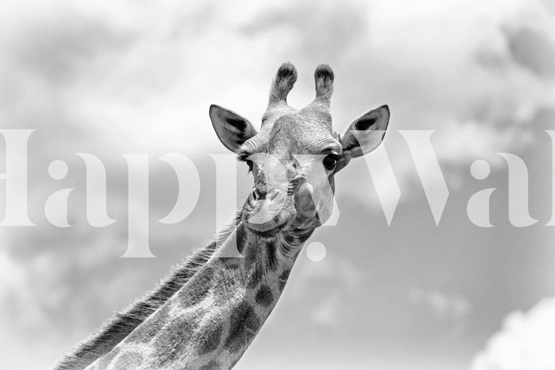 Giraffe wallpaper che mostra Wildlife in una stanza