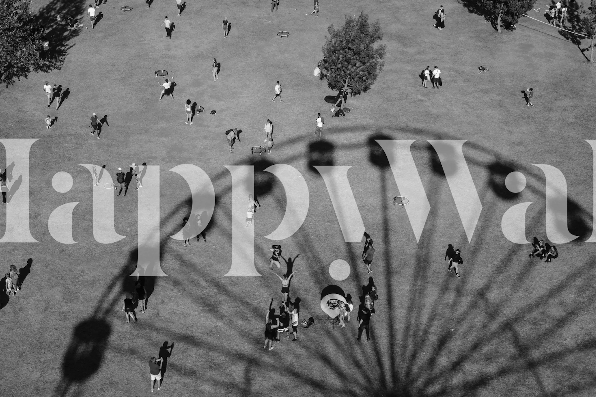 Black and white Ferris wheel shadow over a grass field wallpaper