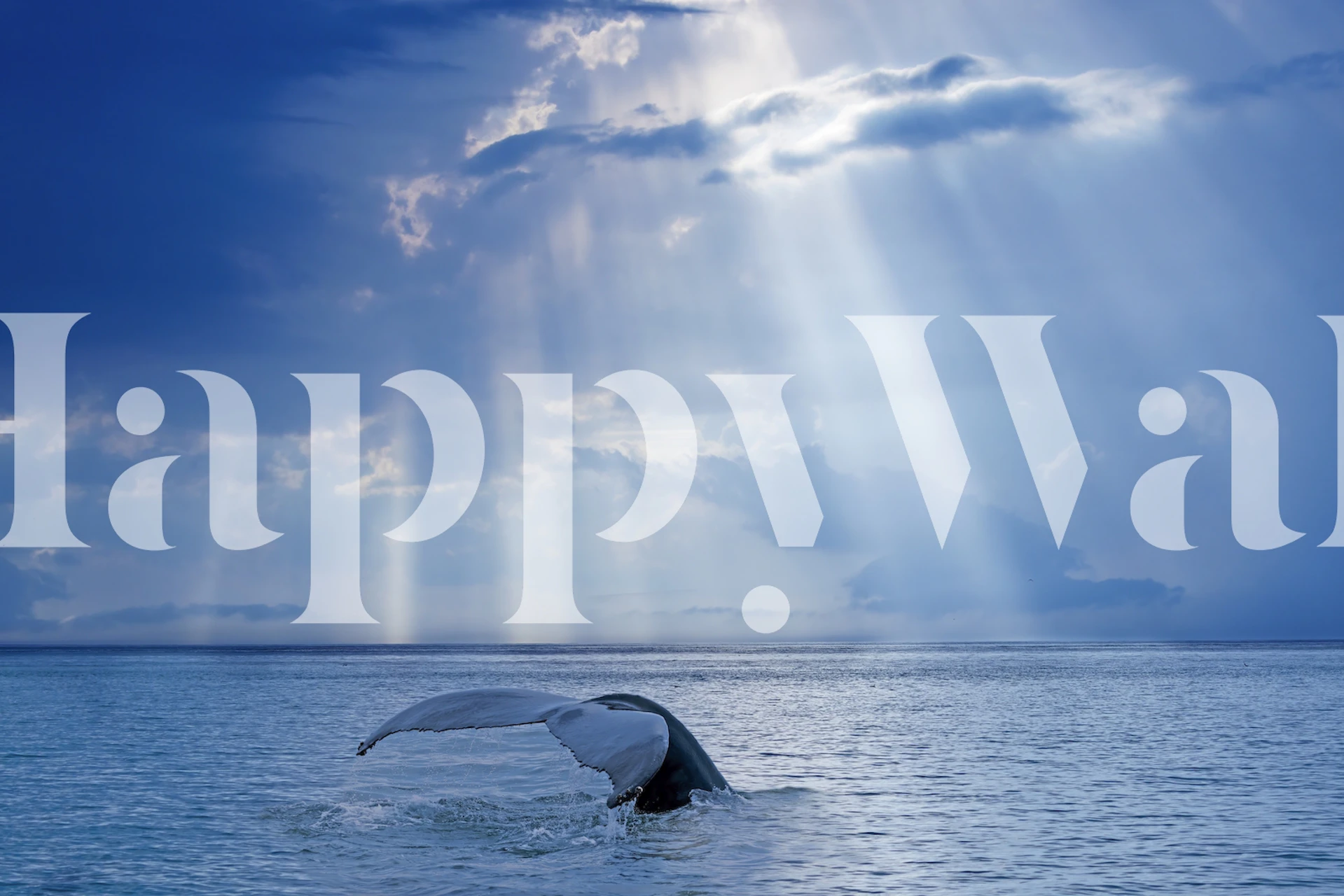 Papier peint Whale et sun rays dans une pièce