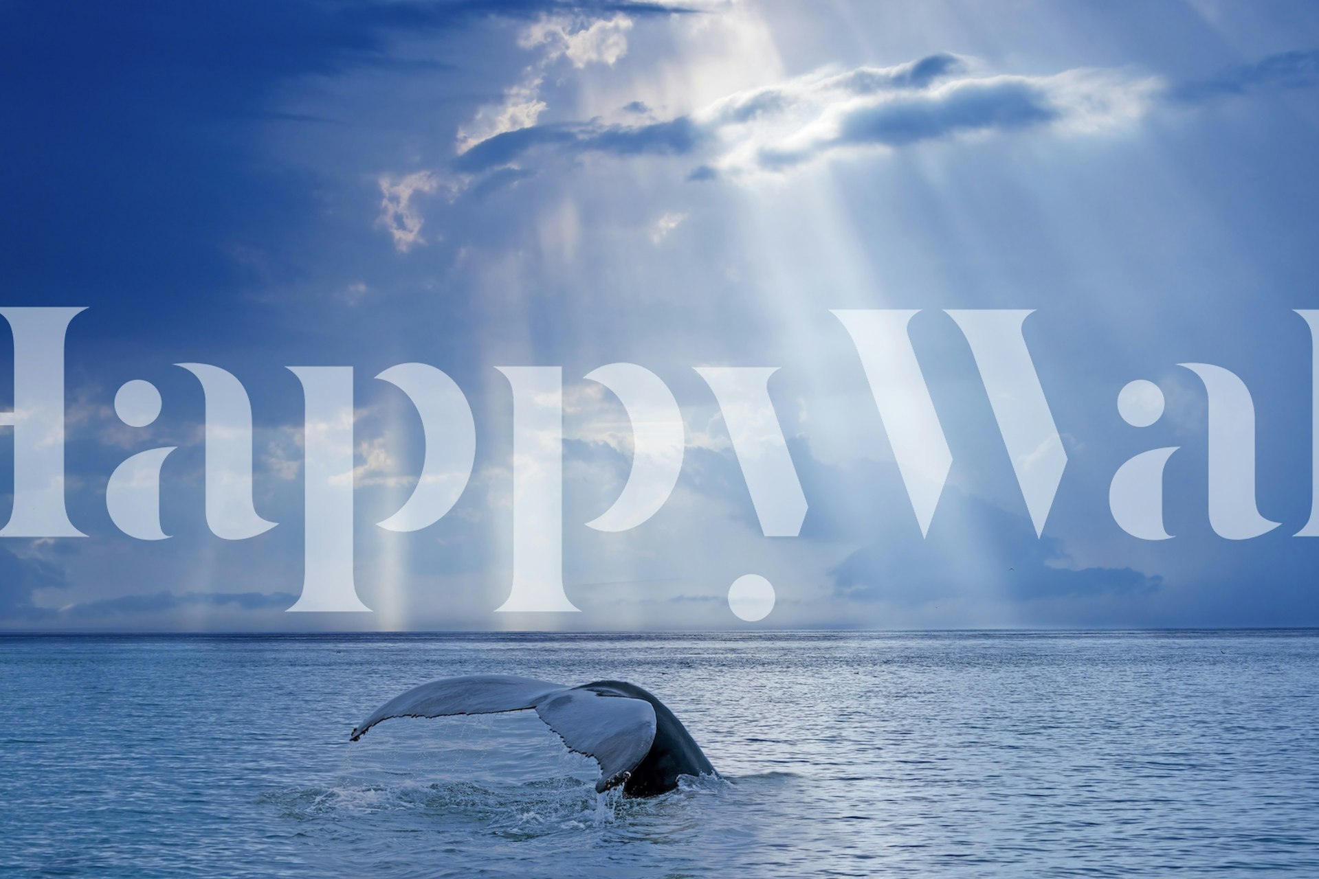 Whale og sun rays tapet i et rum