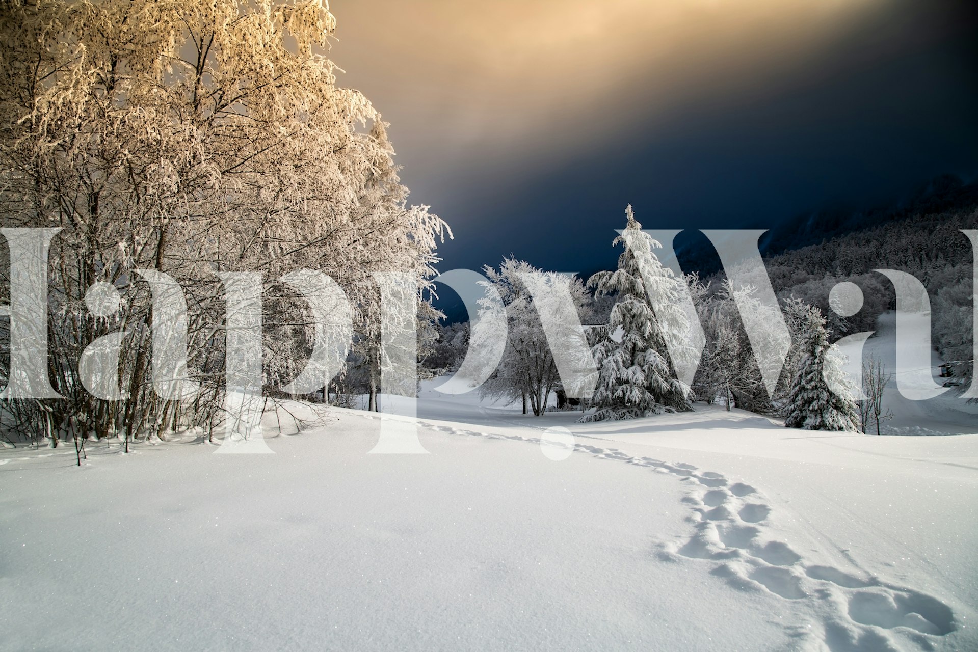 Winter Path behang in een kamer