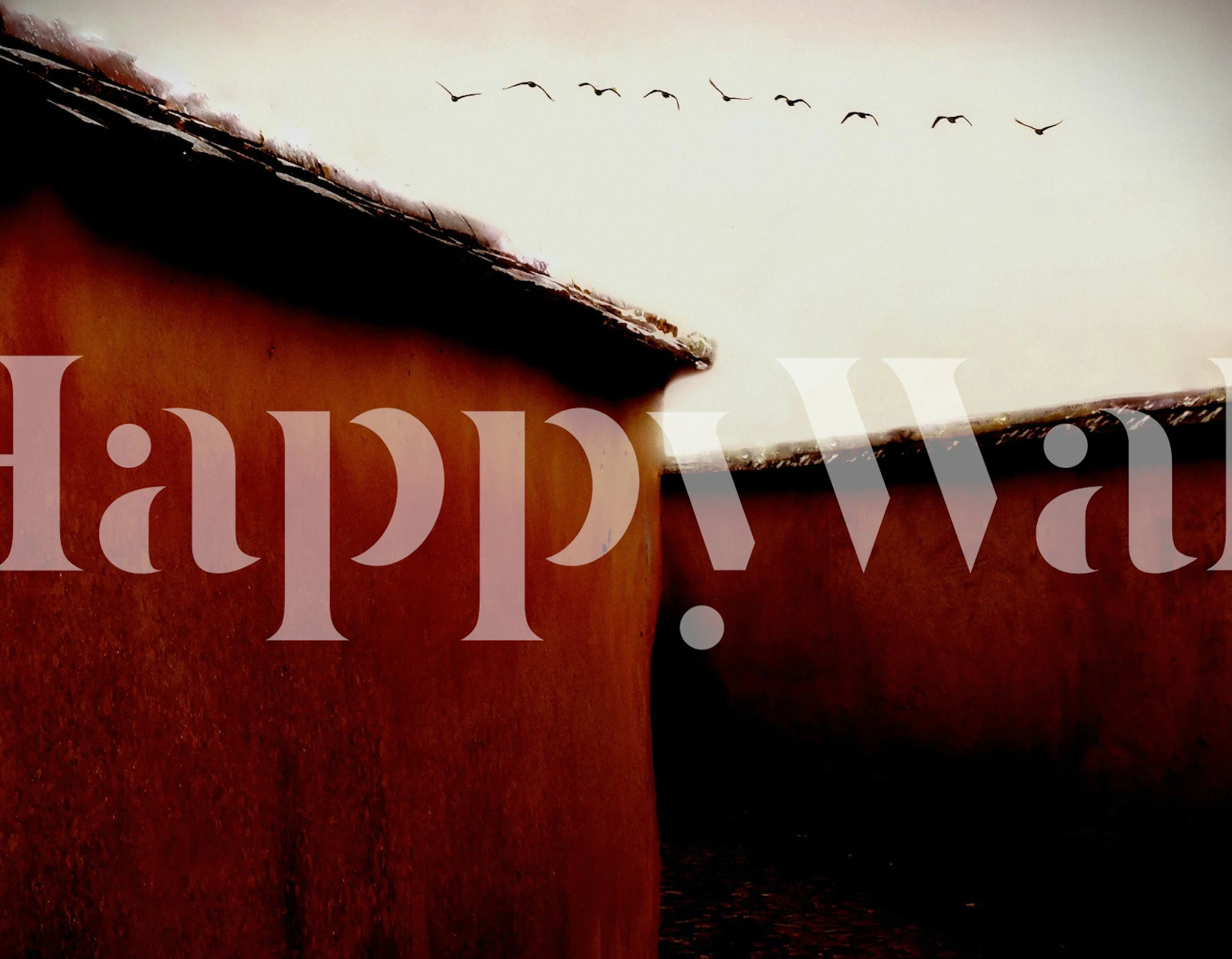 Silhouette of birds flying over warm-hued walls wallpaper
