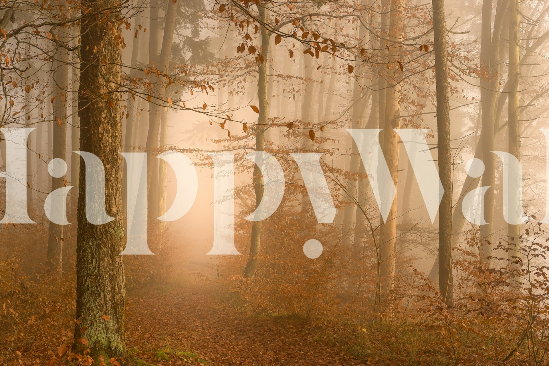 Forest wallpaper design in a room setting