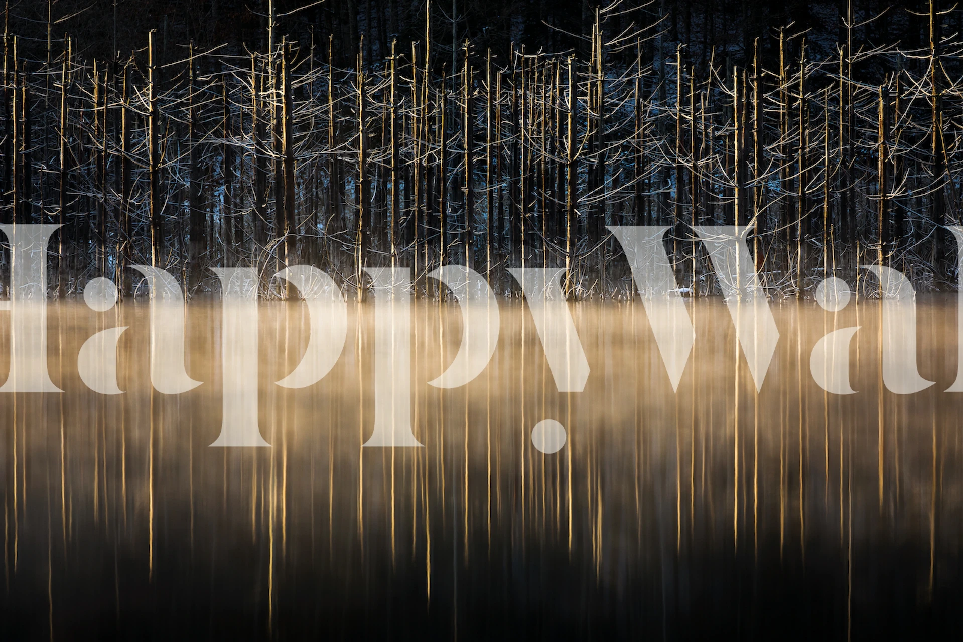 Mural de parede do Lago Cuejdel com água enevoada e reflexos de árvores nuas