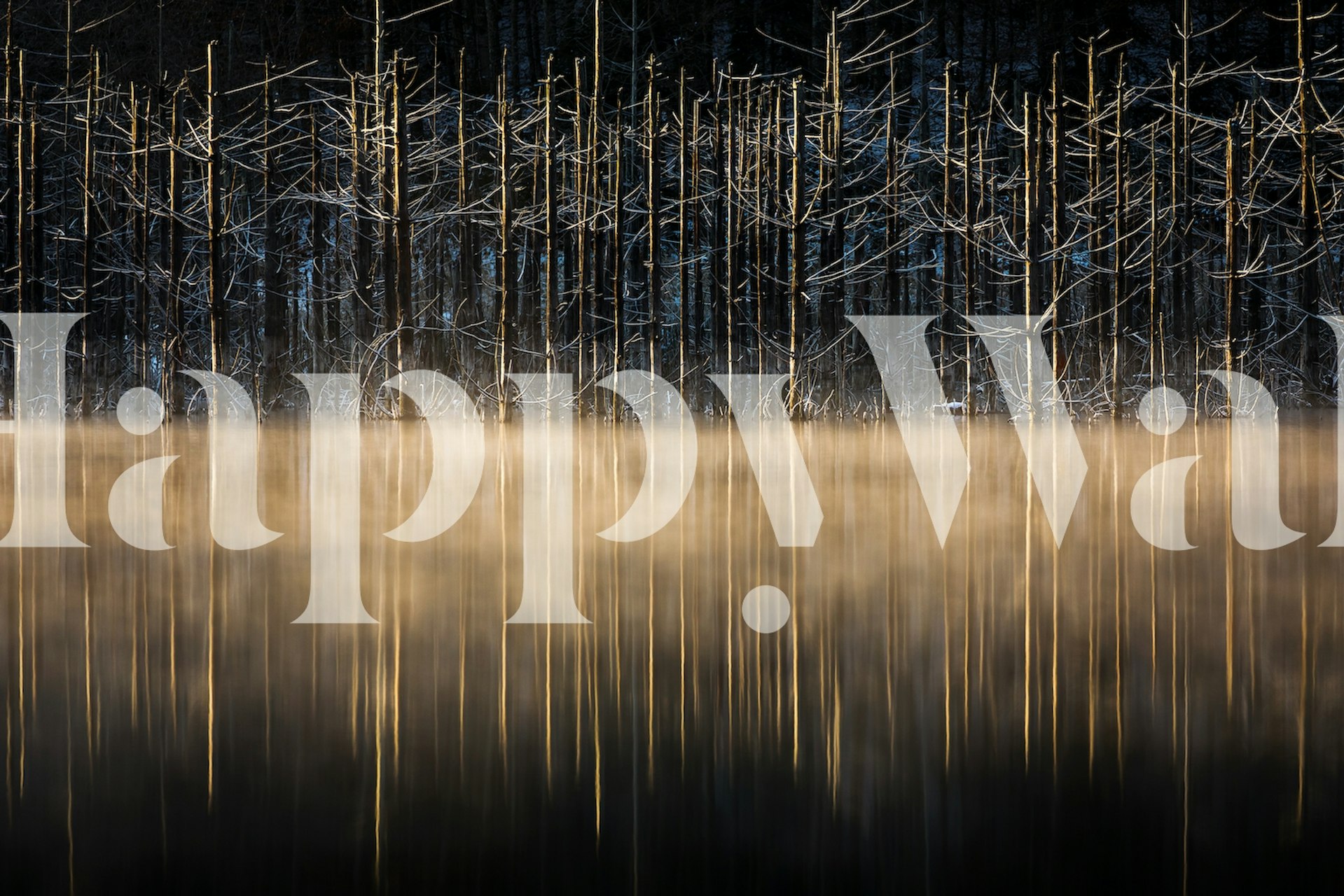 Fototapeta Jezioro Cuejdel z mglistą wodą i odbiciami nagich drzew