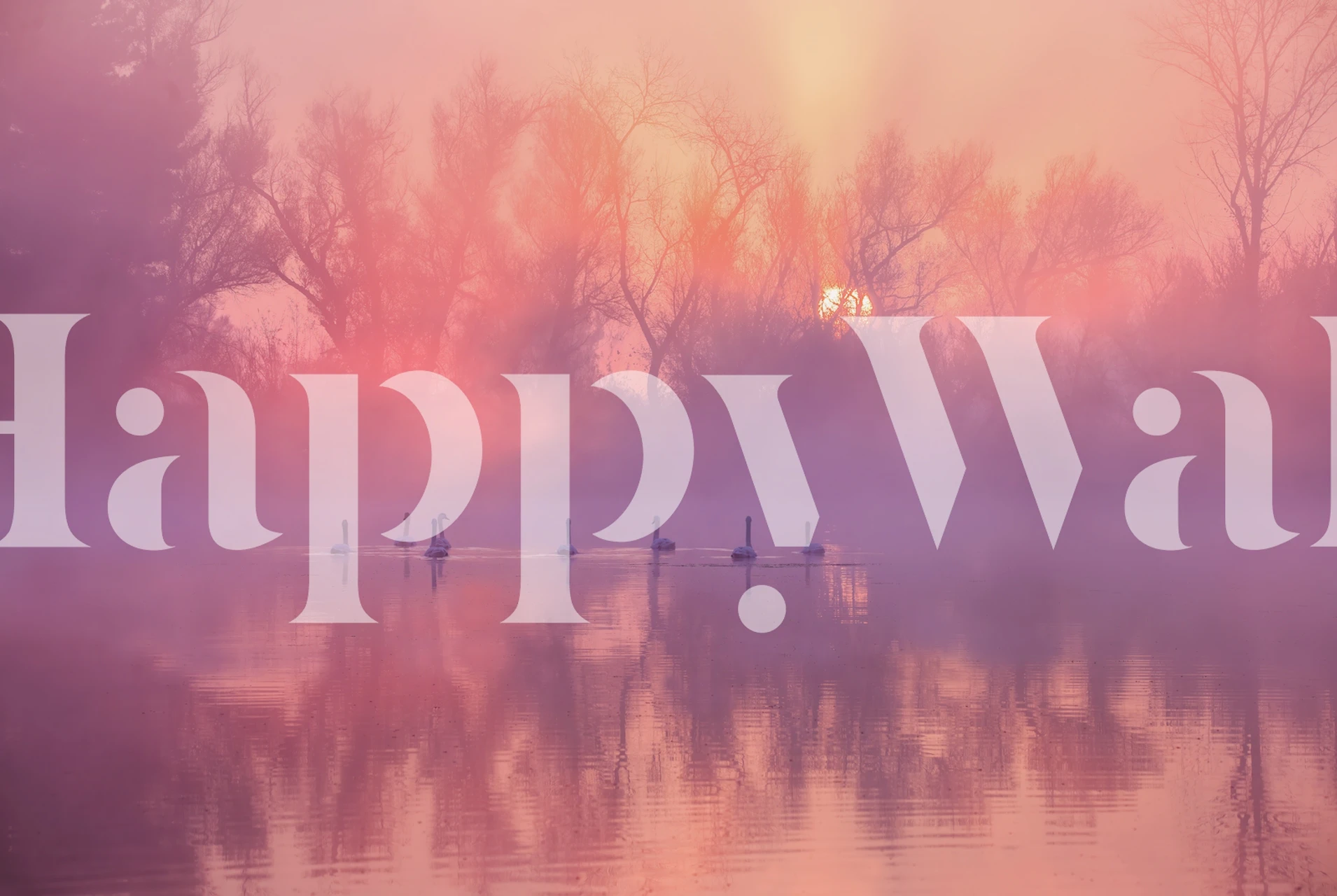 Swan Lake Sunrise tapetti huoneessa