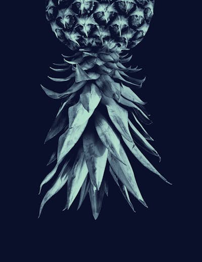 Τοιχογραφία