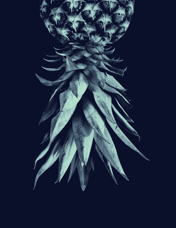 Blue Pineapple Upside Down 1