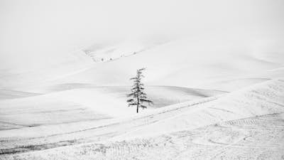 Τοιχογραφία