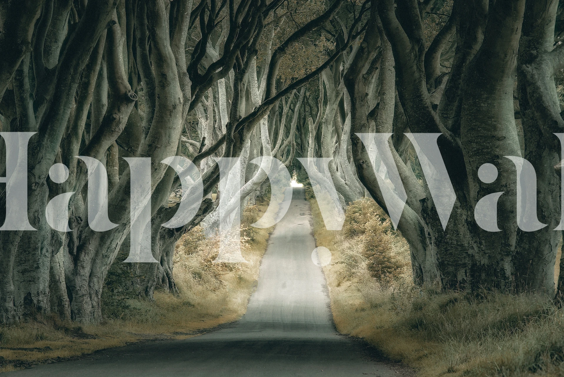 Irish Hedges wallpaper in a room setting