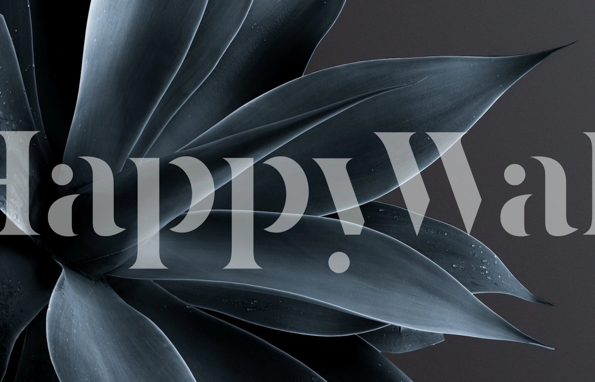 Ash wallpaper design in an interior setting