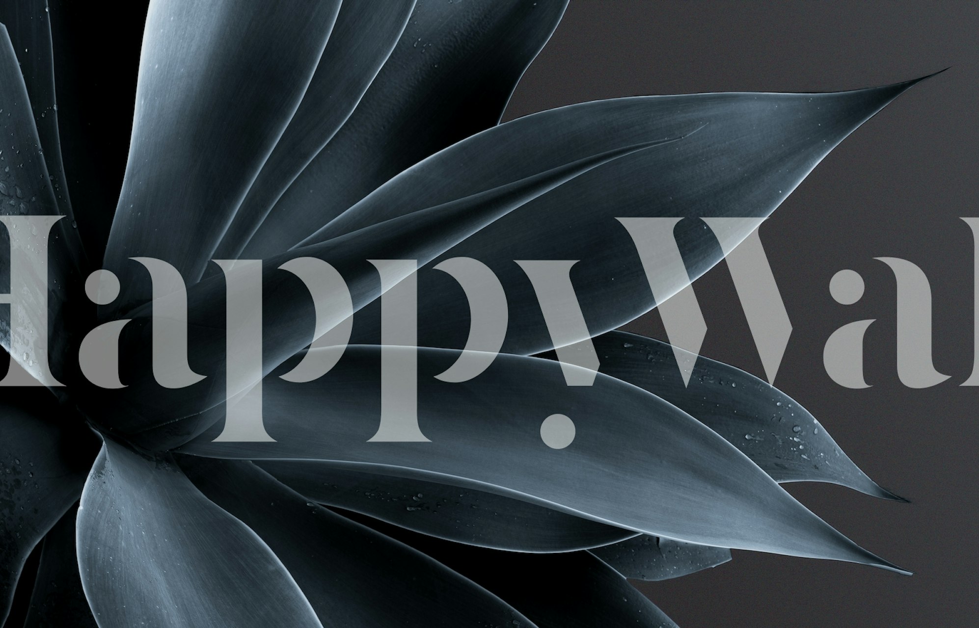 Ash wallpaper design in an interior setting