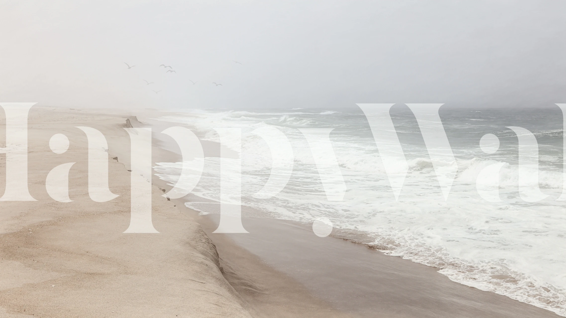 Mist over São Jacinto beach Tapete in einem Raum