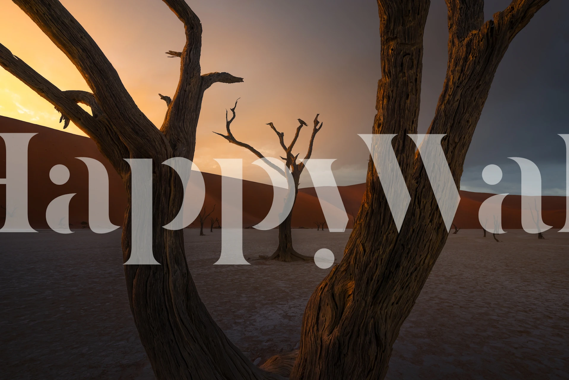 Desert landscape with dead trees and orange sunset wallpaper