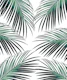 Green Palm Leaves Dream 3