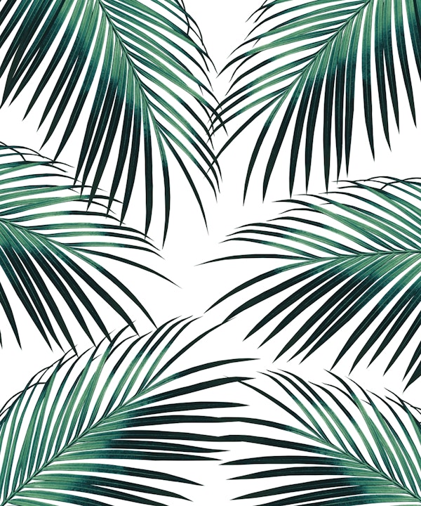 Green Palm Leaves Dream 3