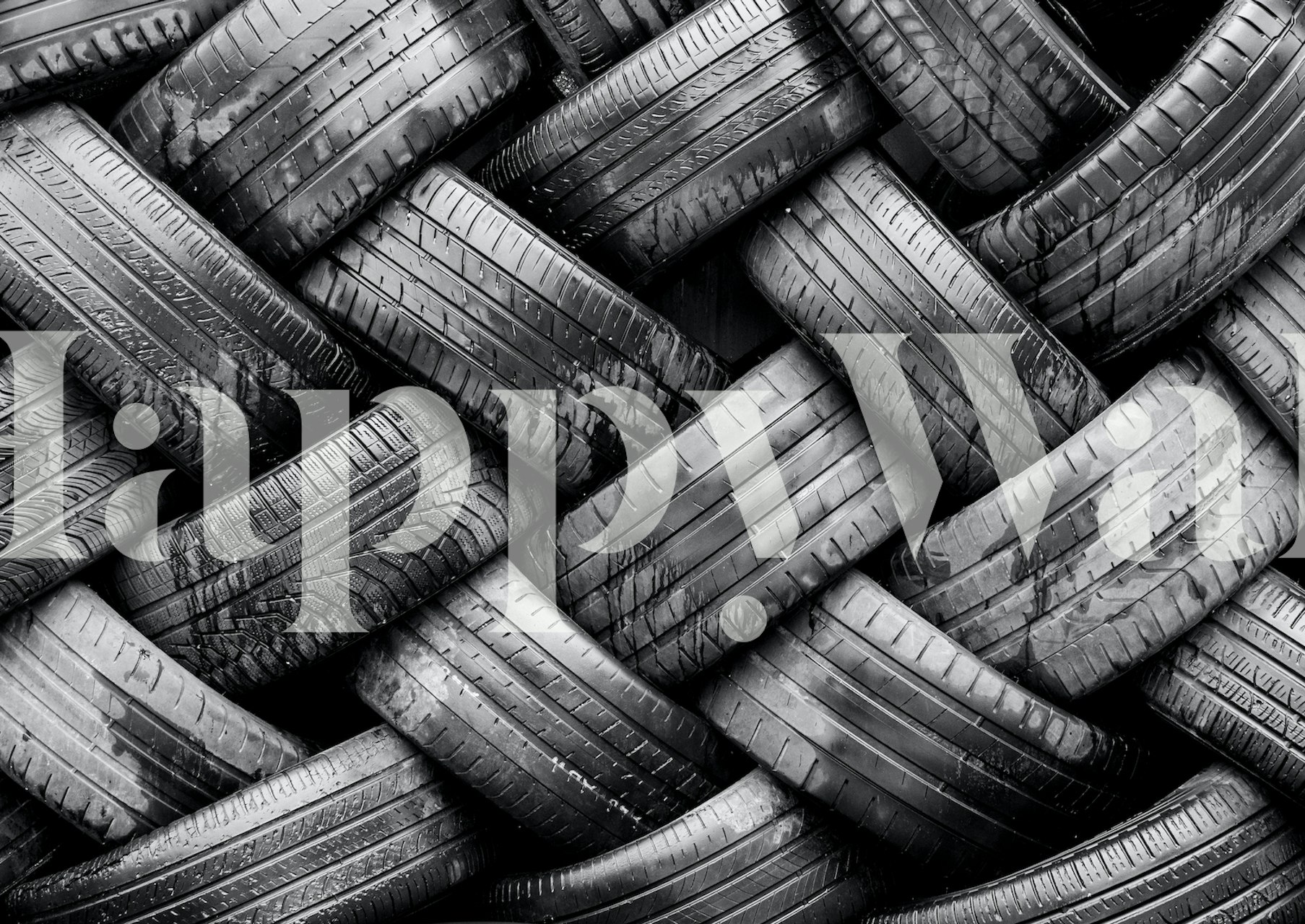 Wet ταπετσαρία ελαστικών σε μία στιλάτη αίθουσα