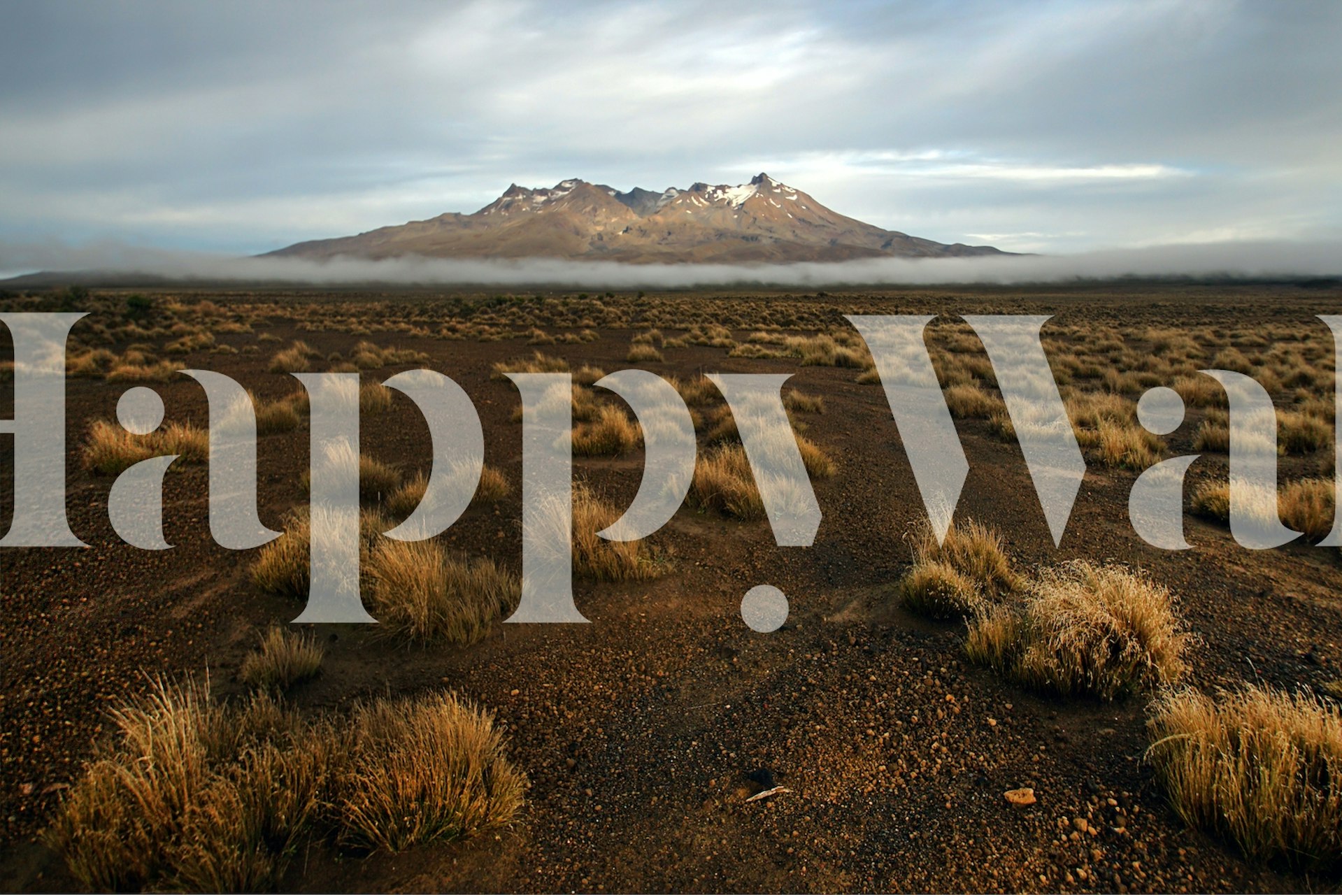 Papier peint Rangipo Desert affiché dans une pièce