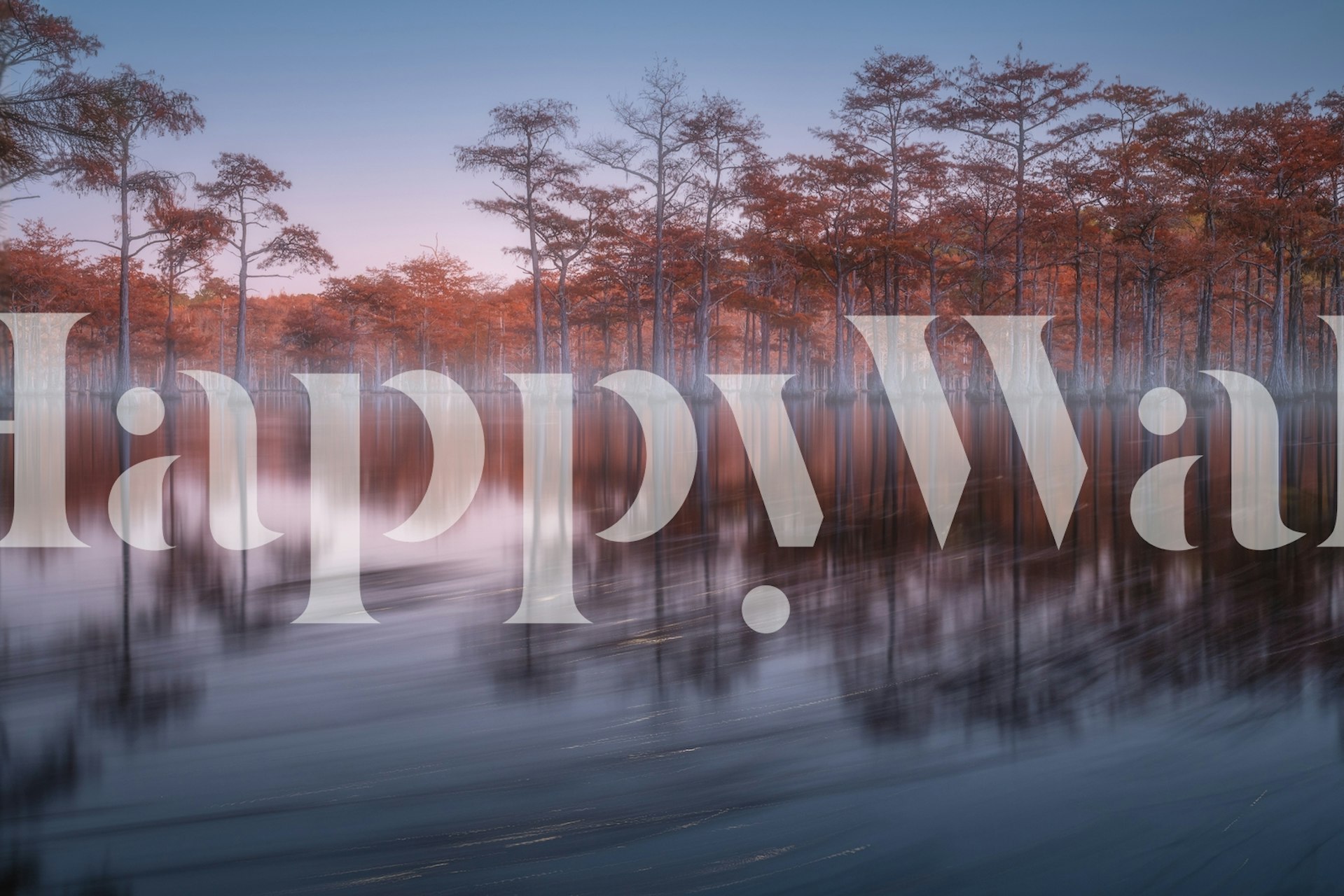 Evening cypresses Tapetdesign in einem Raum