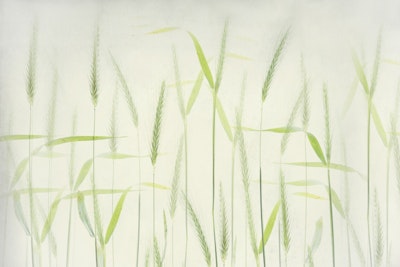 Mural