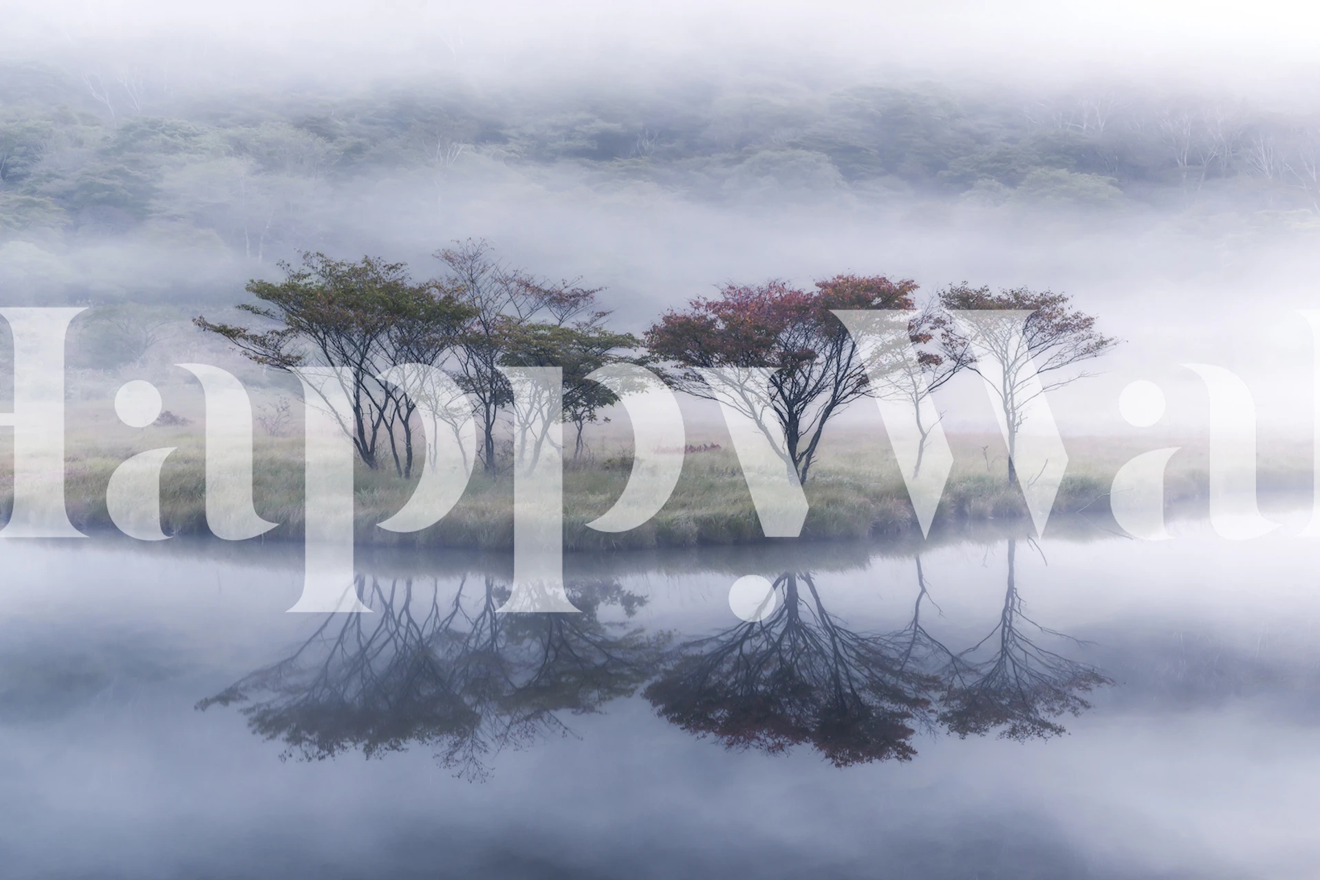 Into Fall wallpaper design in a room