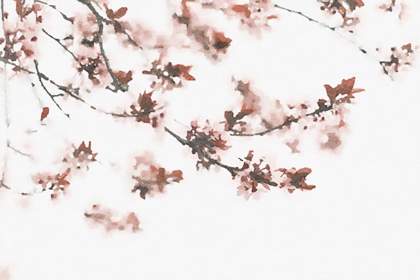 Toffee Cherry Flower Watercolo