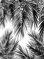 Palm Leaf Jungle Vibes 3 ταπετσαρία