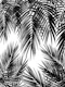 Palm Leaf Jungle Vibes 3