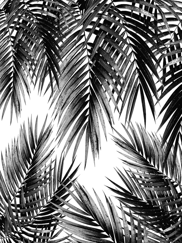Palm Leaf Jungle Vibes 3