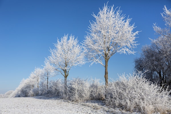Winter Idyll North Of Germany