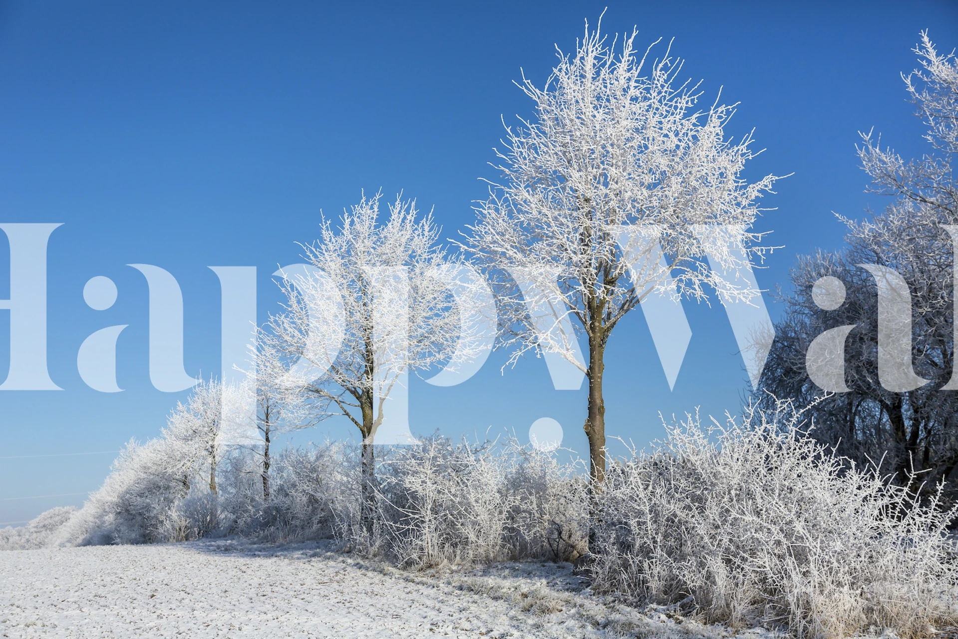 Et roligt vægmaleri med vinterscener med frostdækkede træer og et sneklædt landskab