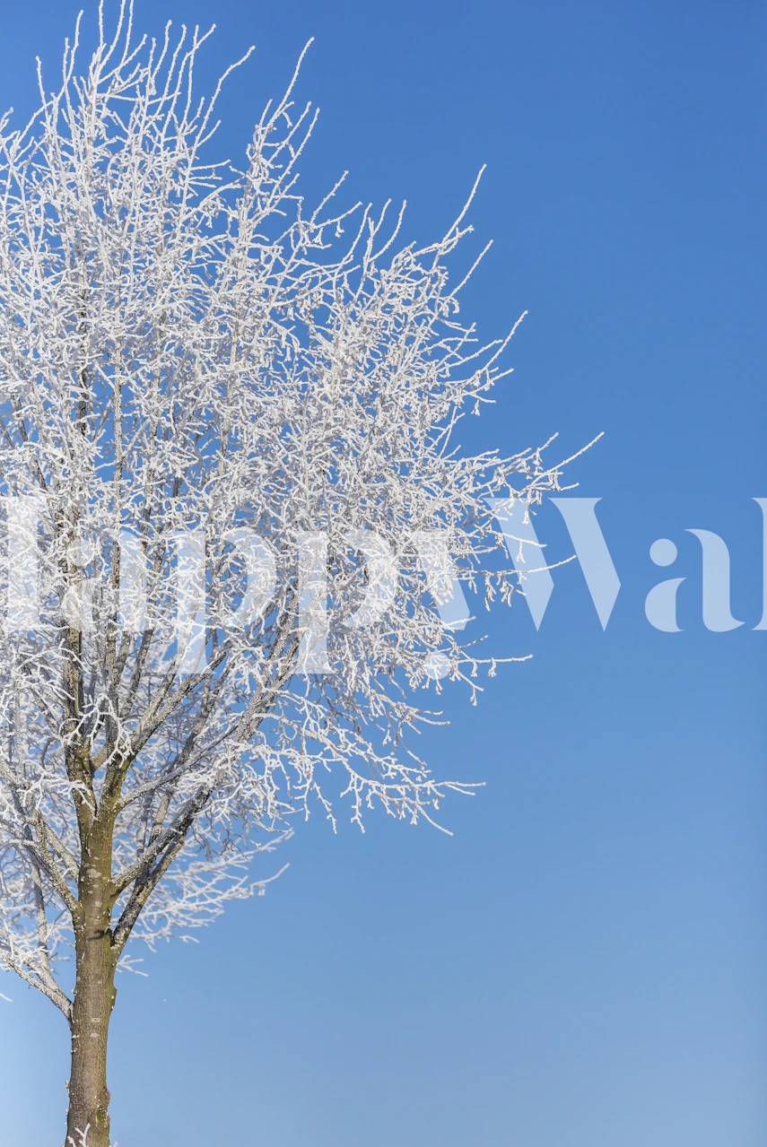 Papier peint Winter Idyll Snow Tree dans une pièce