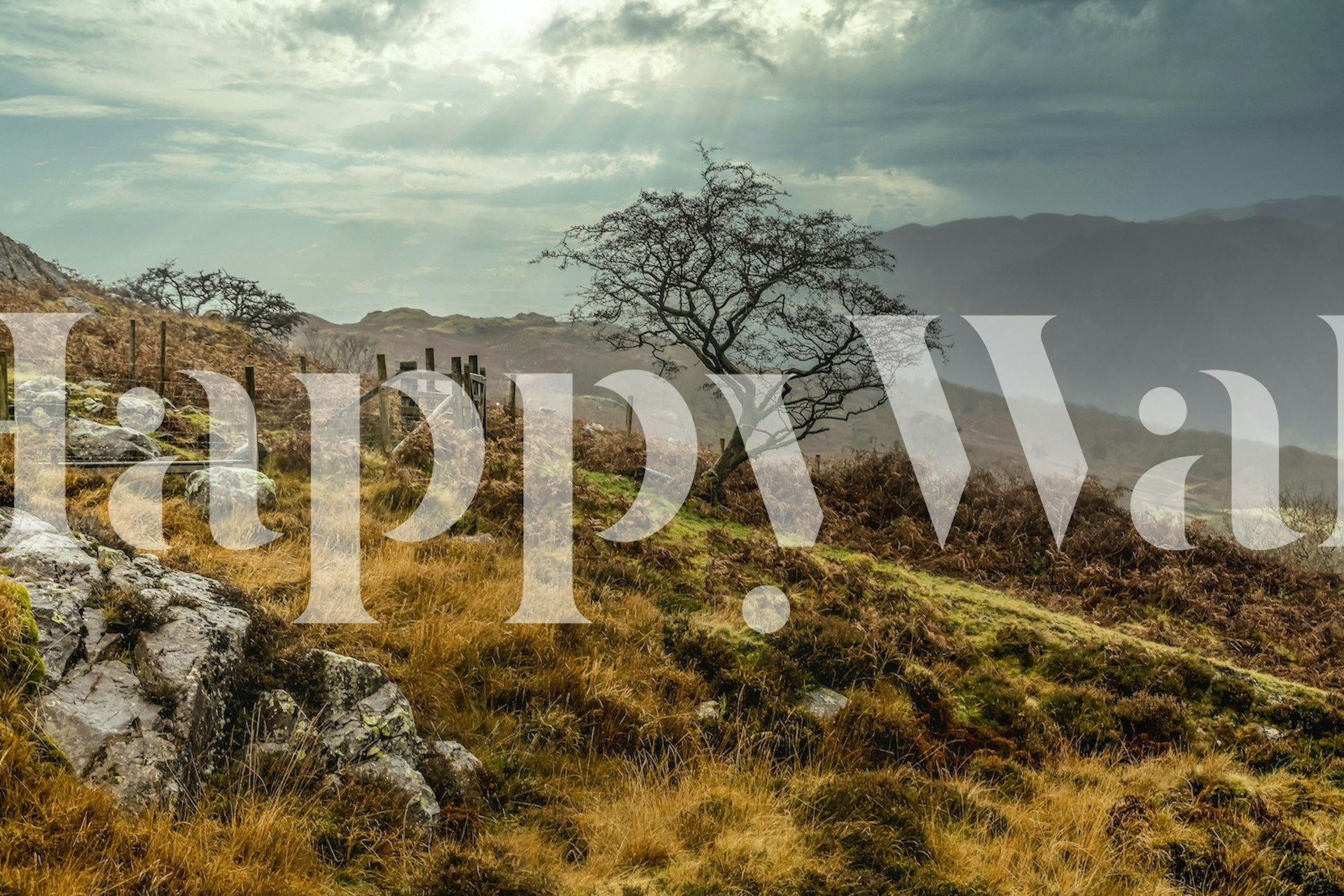 Lush landscape featuring a tree, rocky terrain, and cloudy skies wallpaper