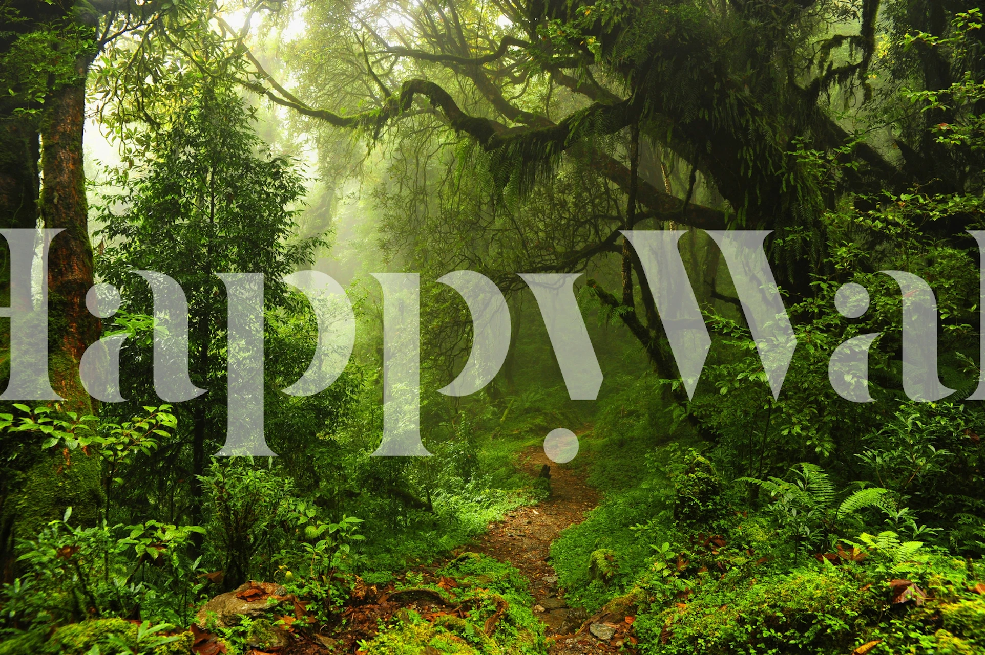 Jungle wallpaper displayed in a room