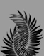 Palm Leaves Gray Black Vibes 1