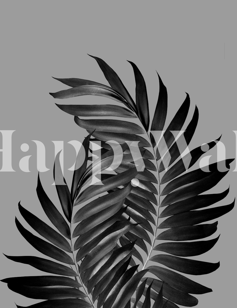 Palm Leaves Gray Black Vibes 1 wallpaper in a room