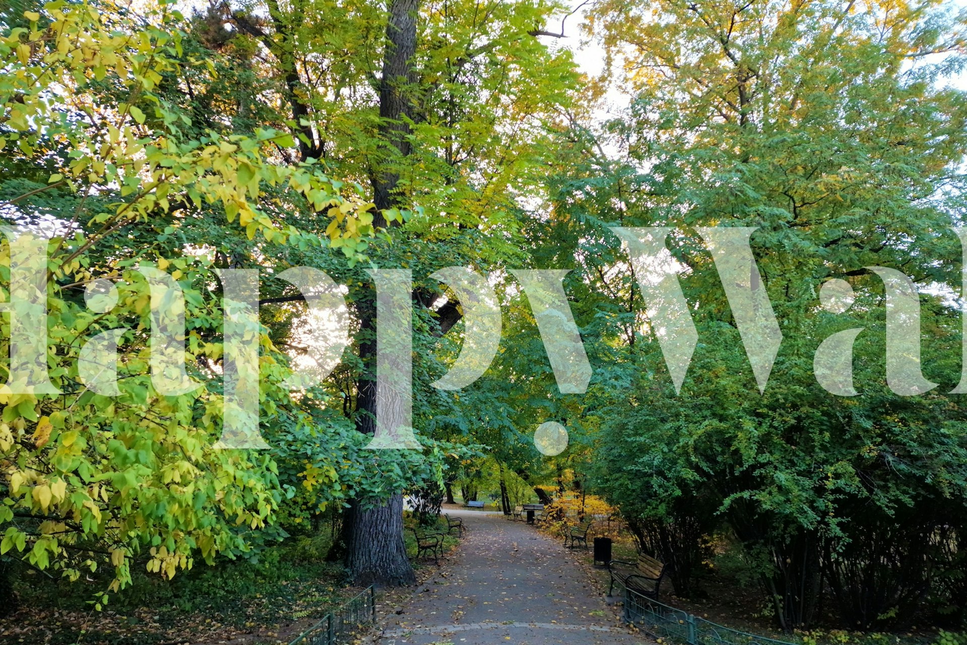 Ταπετσαρία Magical Nature σε ένα δωμάτιο