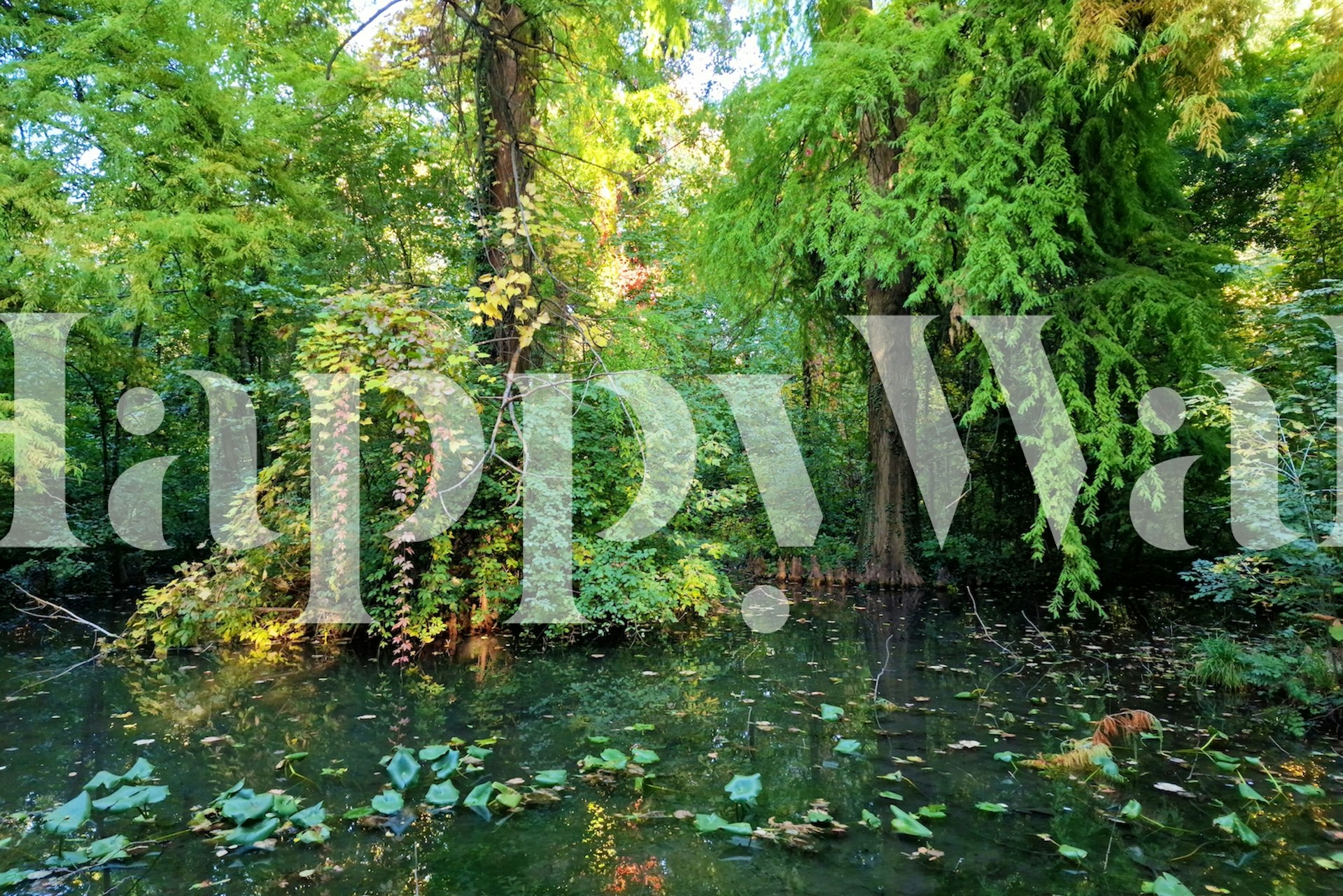 Rehevä metsäseinämaalaus, jossa auringonvalo suodattuu puiden läpi ja rauhallinen lampimaisema