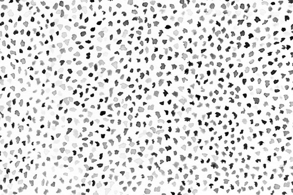 Watercolor Black Dalmatian