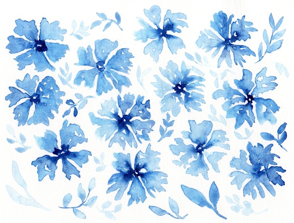 Watercolor Blue Flowers AA