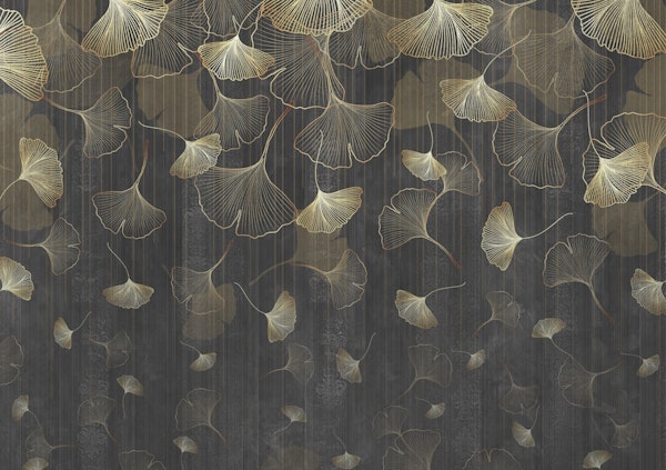 Ginkgo leaves on black